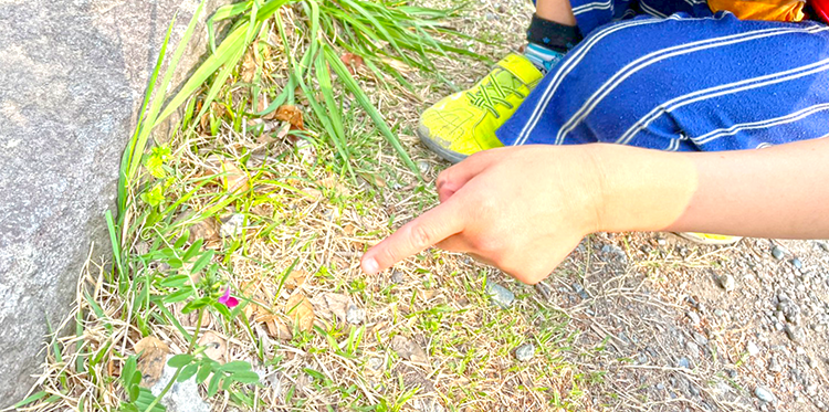 従来の学童保育との違い:様子6